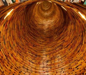 Le micro-learning, futur de la formation professionnelle ?