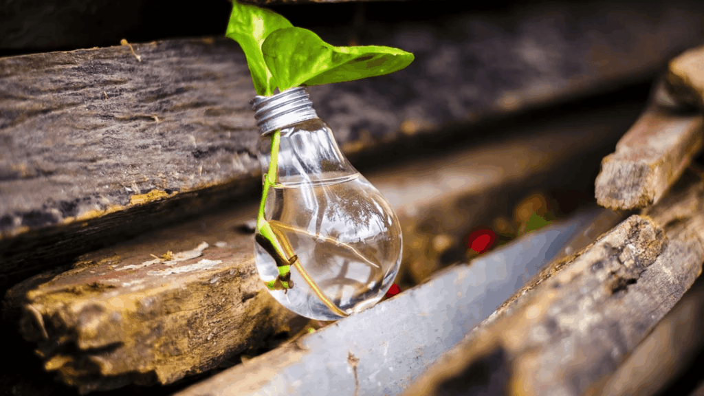 optimiser votre chauffage et utiliser des ampoules basse consommation.